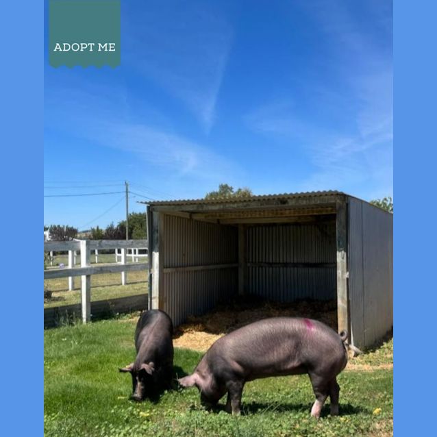 Photo of Karen And Cheryl