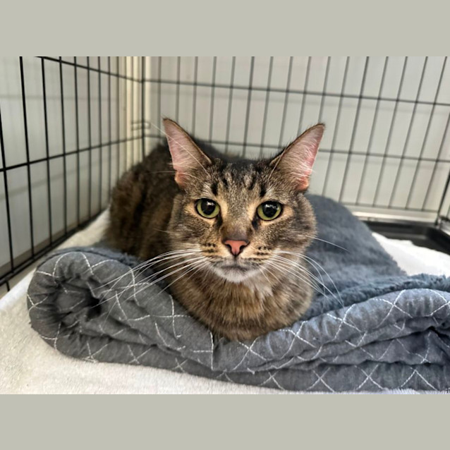 Photo of Rocky