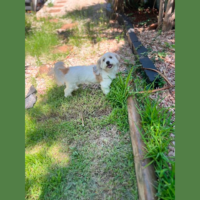 Photo of Jimmy Giggle 