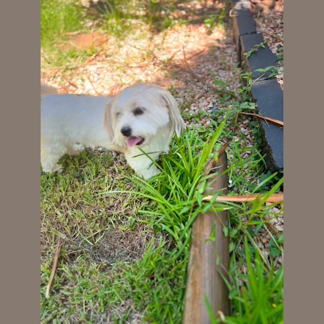 Photo of Jimmy Giggle 