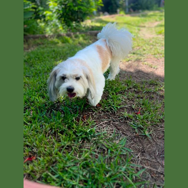 Photo of Jimmy Giggle 