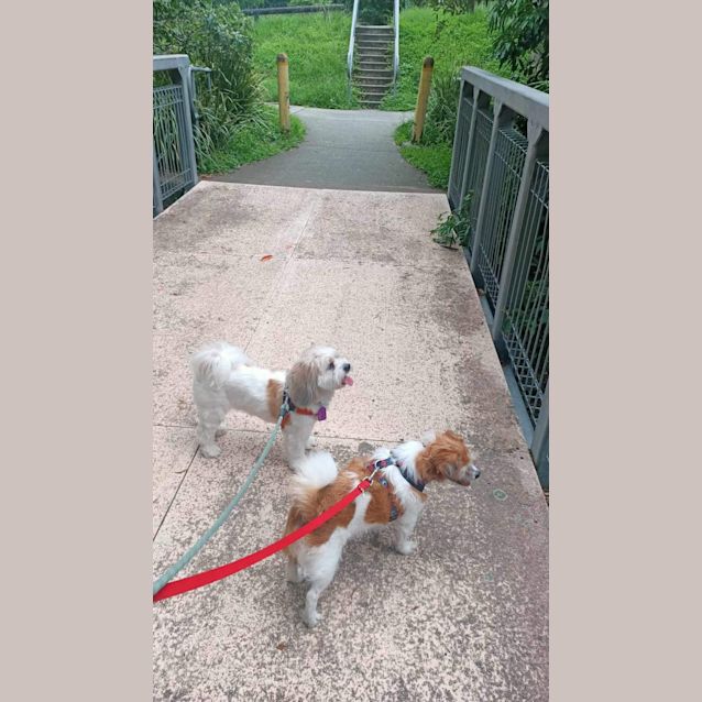 Photo of Jimmy Giggle 