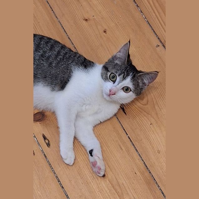 Photo of Flint