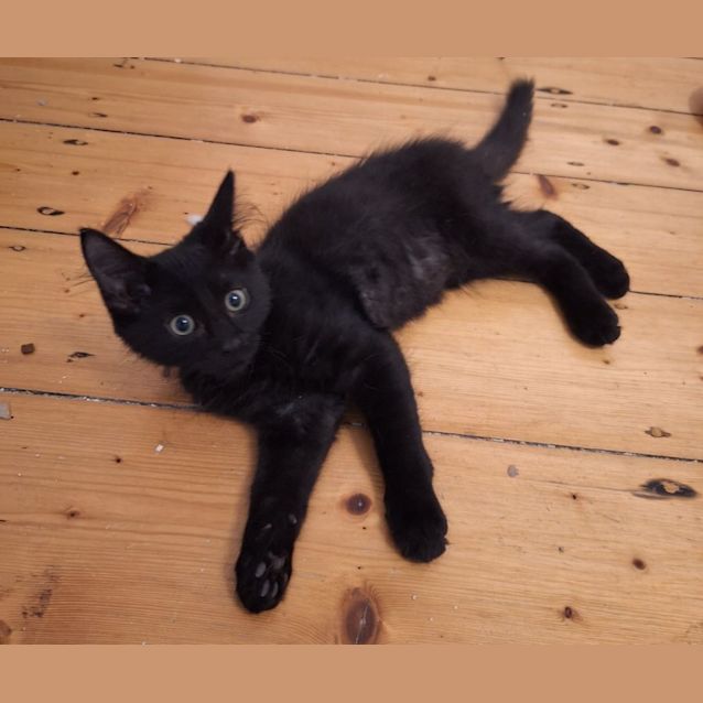 Photo of Zephyr