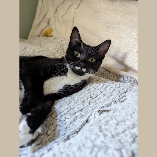 Photo of Full Mo'