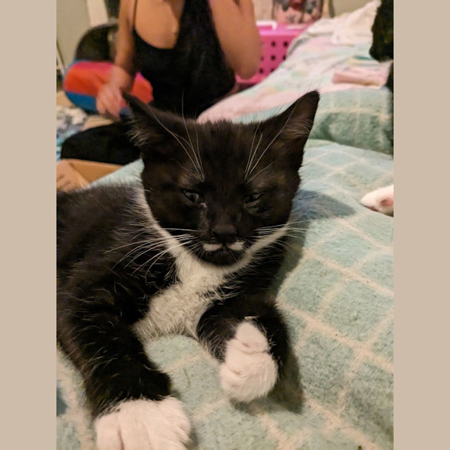 Photo of Full Mo'