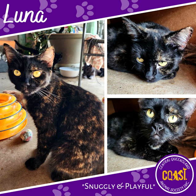 Photo of Luna