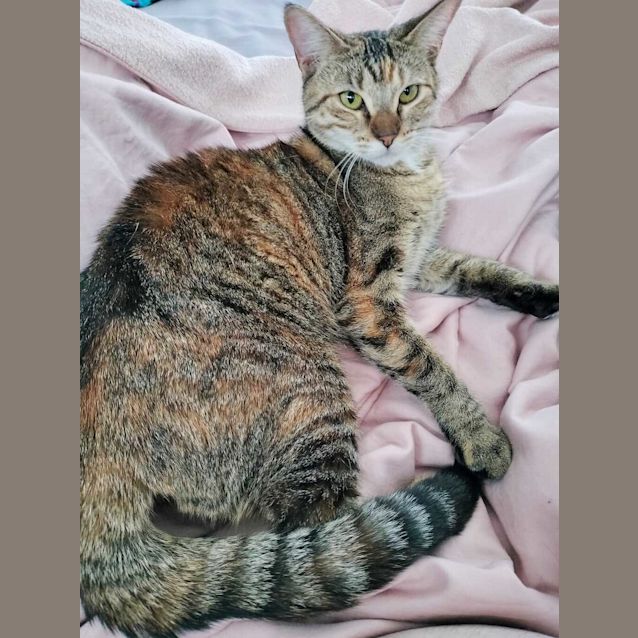Photo of Juno