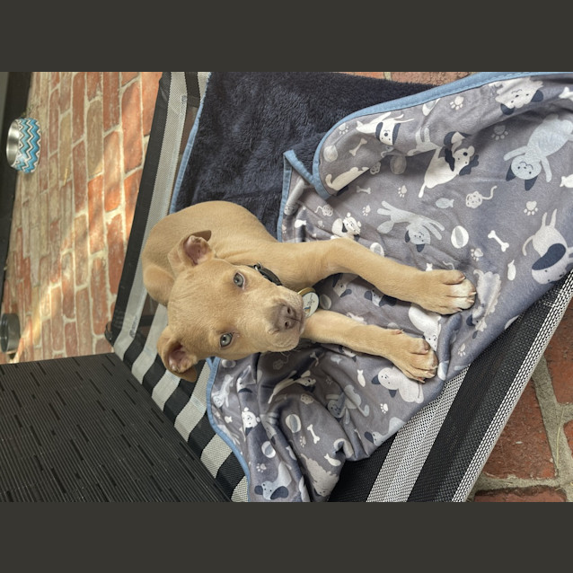 Photo of Maverick