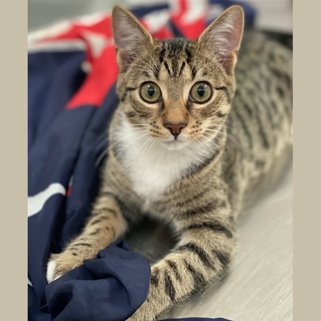 Photo of Jackson (9848)