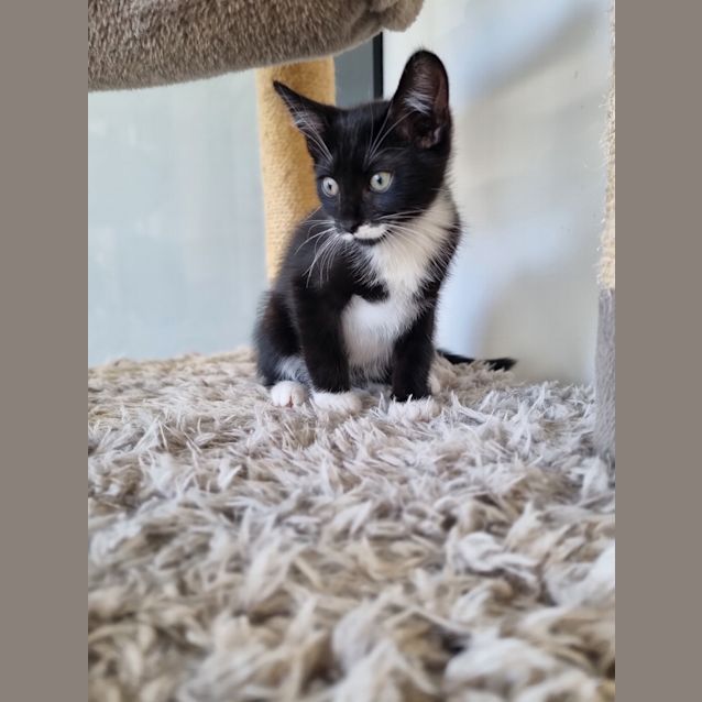 Photo of Yuki
