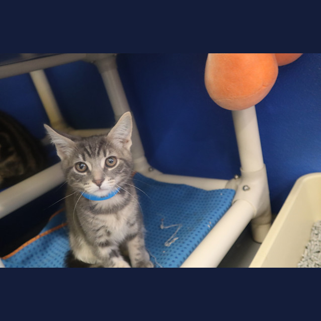 Photo of Jasper