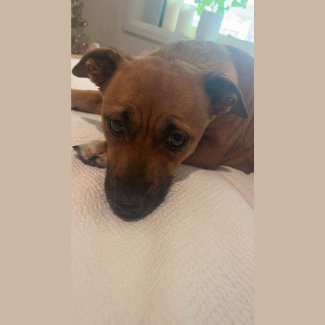 Photo of Banoffee