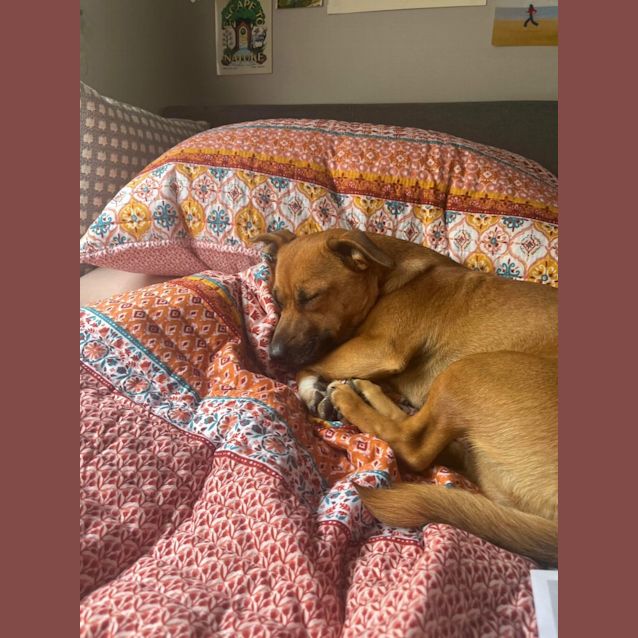 Photo of Banoffee