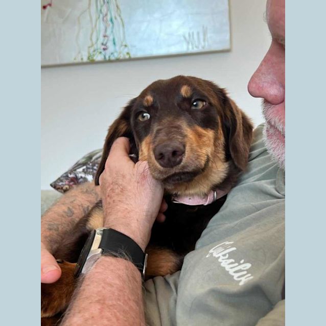 Photo of Truffle