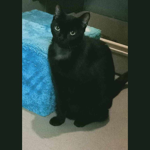 Photo of Tilly