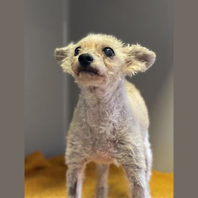 Photo of Billy