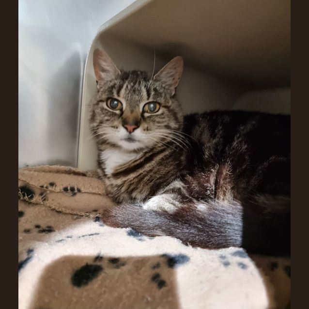 Photo of Tilly