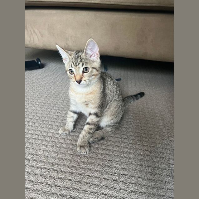 Photo of Kylie   Located In Preston