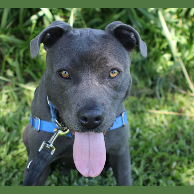 Photo of Maisey