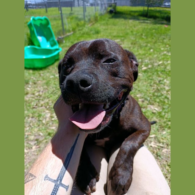 Photo of 💸 Cash C04789 💸