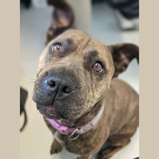 Photo of 🌩Storm C04766 🌩