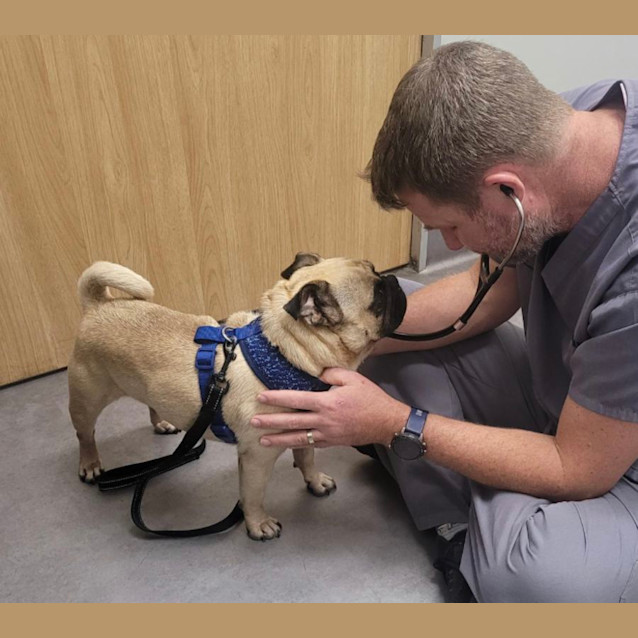 Photo of Frankie 🐸