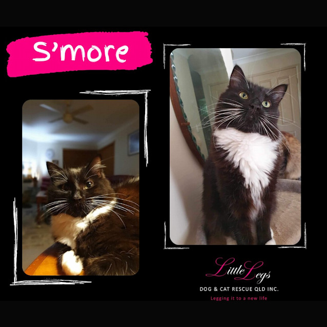 Photo of S’more