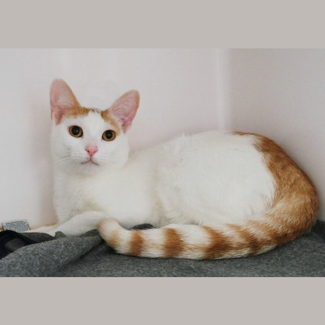 Photo of Murphy Suk011723