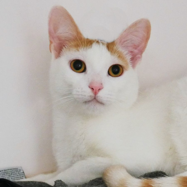 Photo of Murphy Suk011723