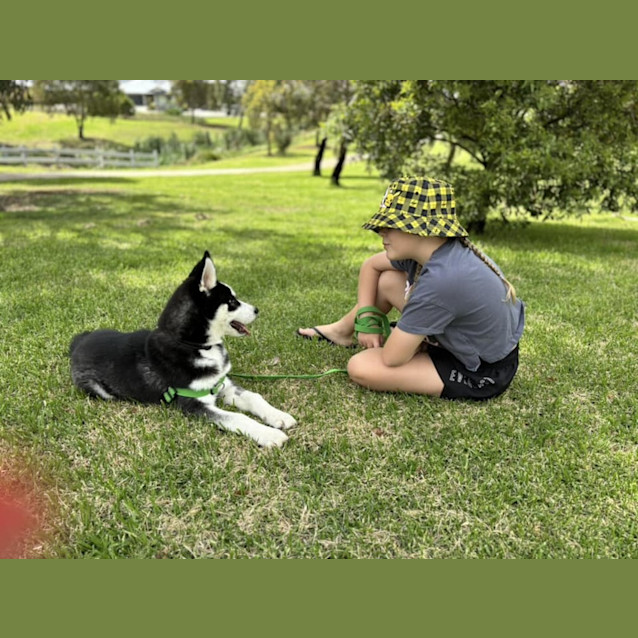 Photo of Lumi (Was Enzo)
