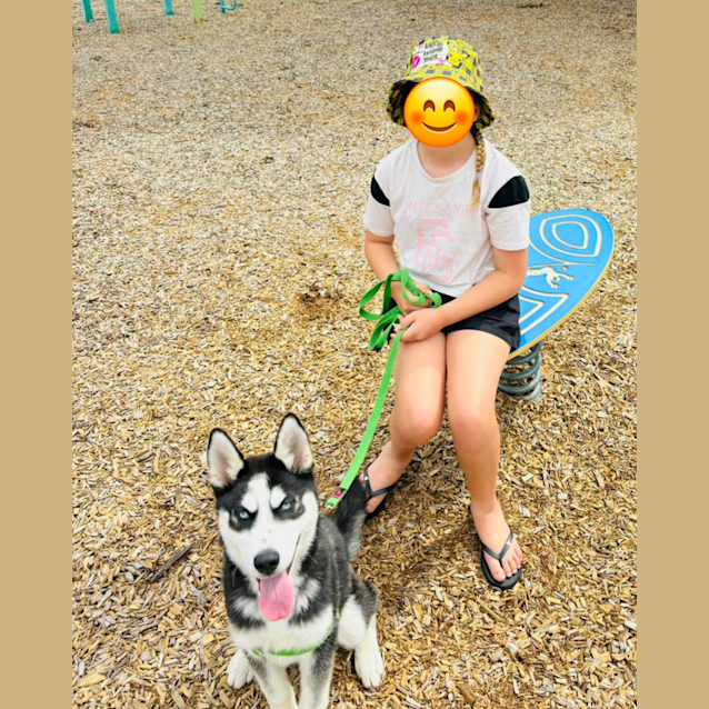 Photo of Lumi (Was Enzo)