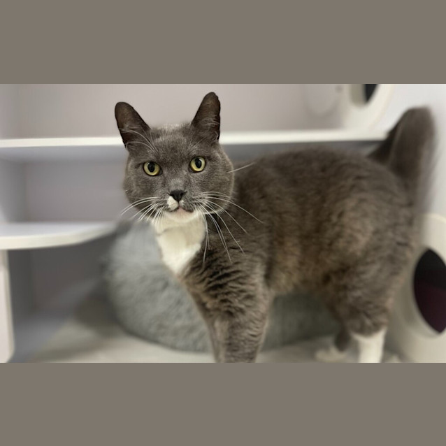 Photo of Slate