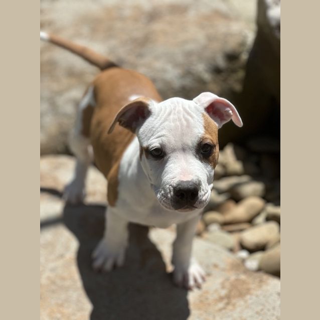 Photo of Cash