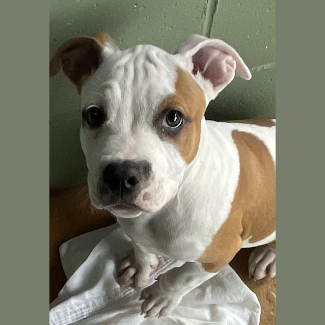 Photo of Cash