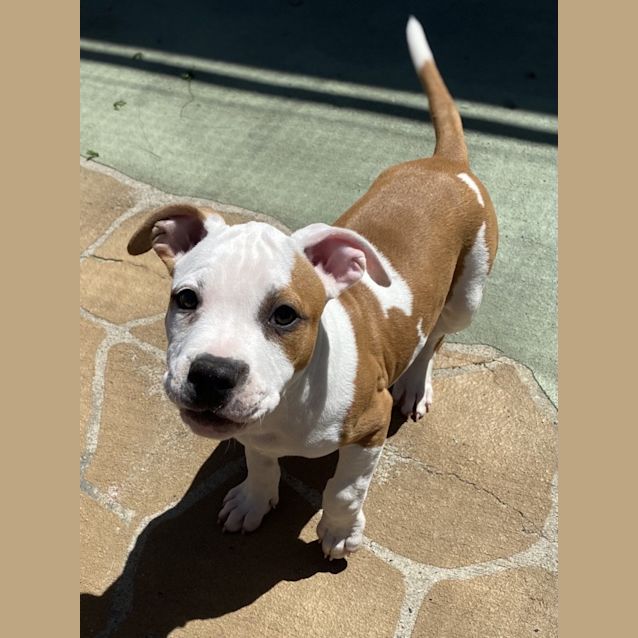 Photo of Cash