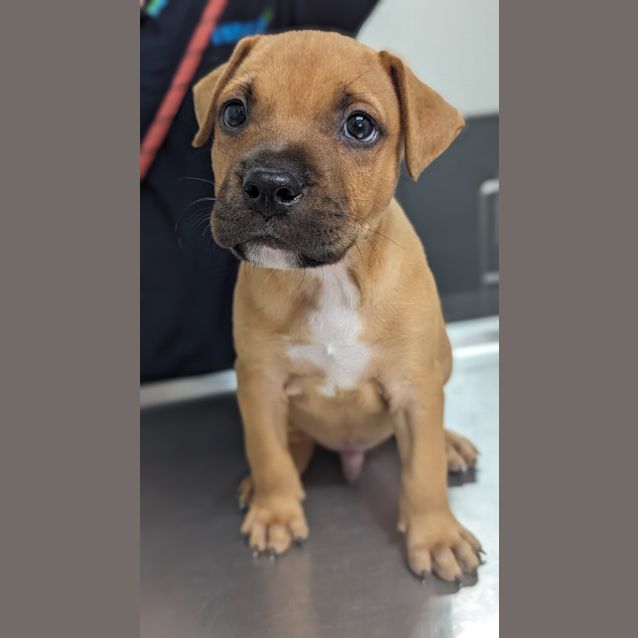 Photo of Bentley
