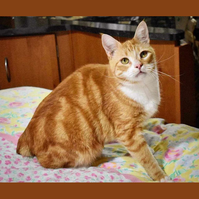 Photo of Daffy And Owen 