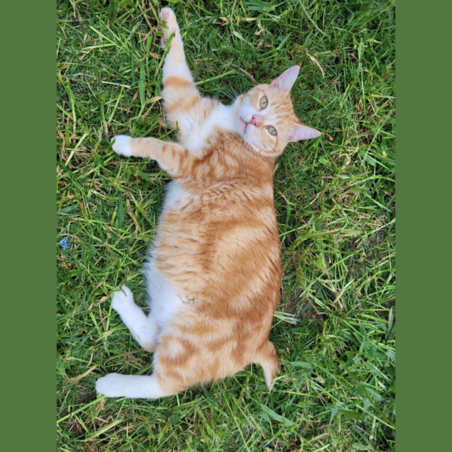 Photo of Daffy And Owen 