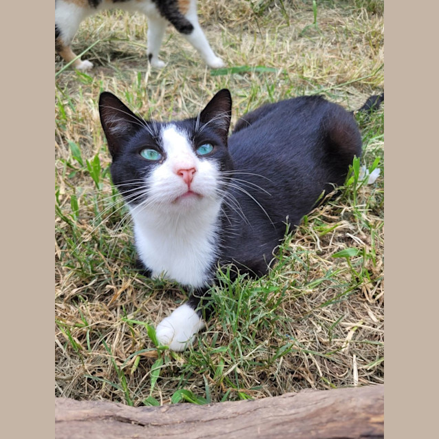 Photo of Daffy And Owen 