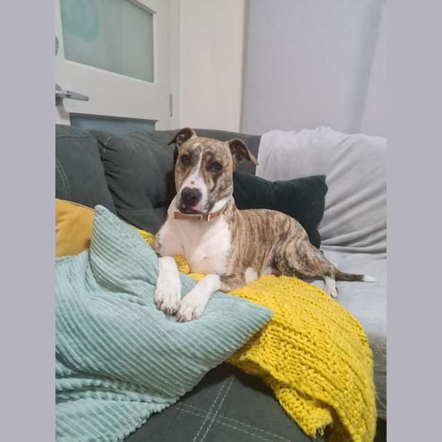 Photo of Roxy
