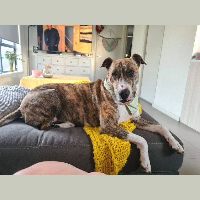 Photo of Roxy