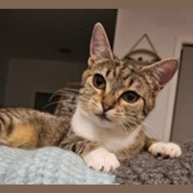 Photo of Fendy