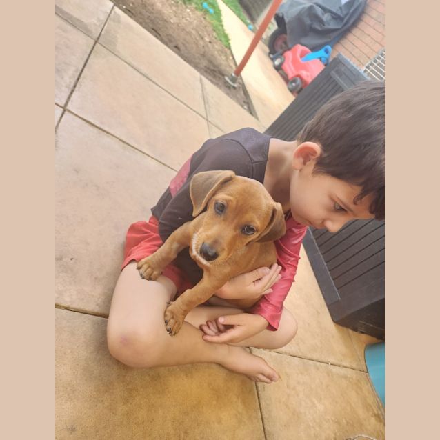 Photo of Peanut Butter