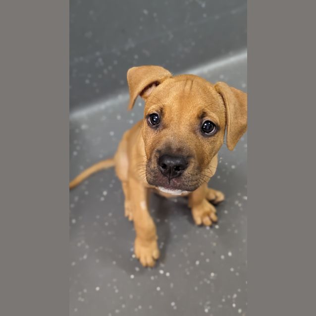 Photo of Bentley