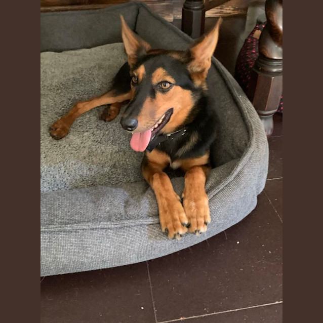 Photo of Ted