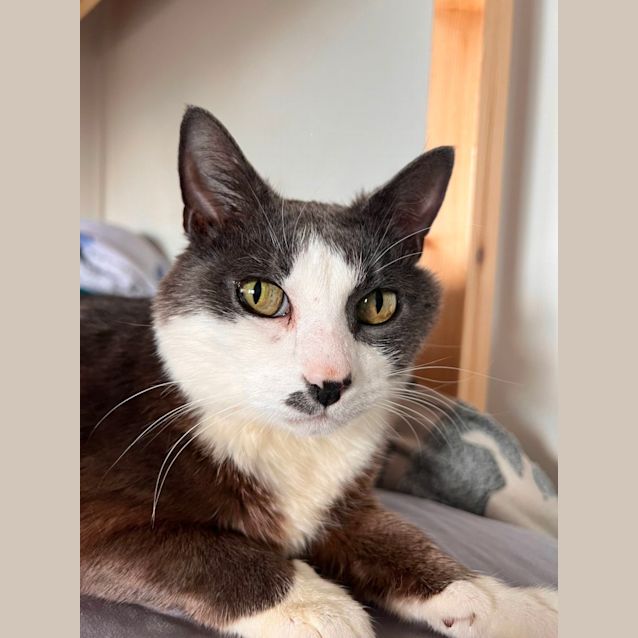 Photo of Missy 🪻🪻