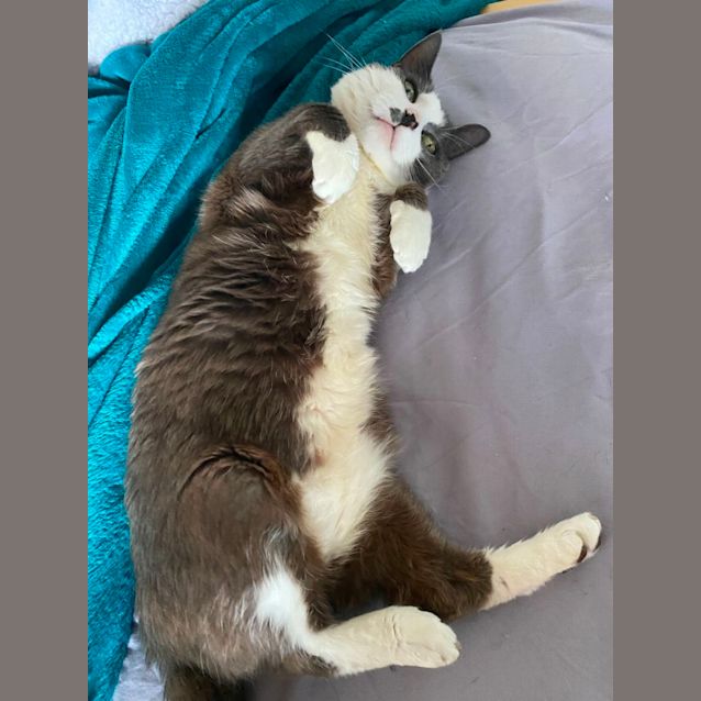 Photo of Missy 🪻🪻