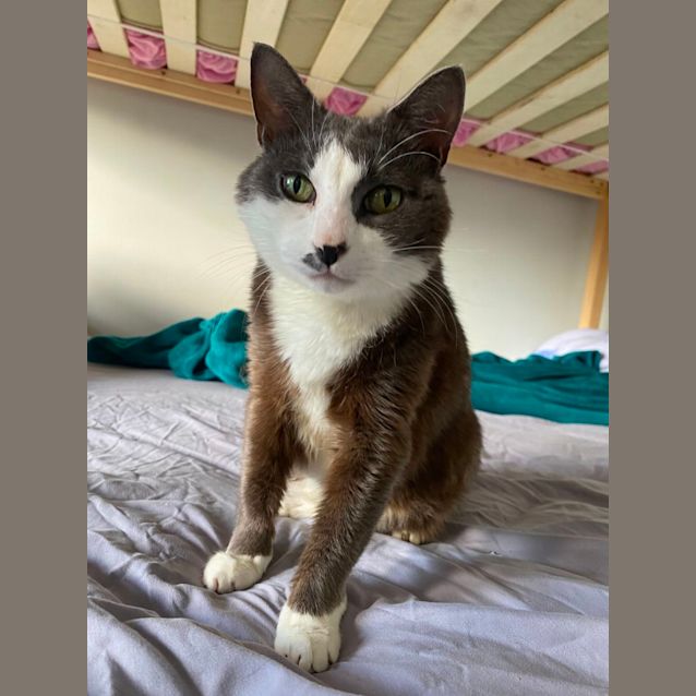 Photo of Missy 🪻🪻