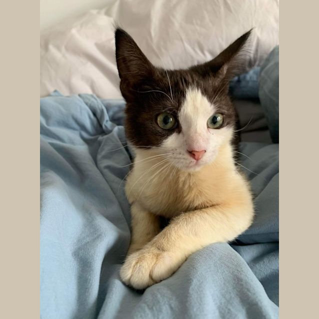 Photo of Montana 🌺